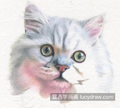 白猫怎么画？有哪些儿童绘画步骤？