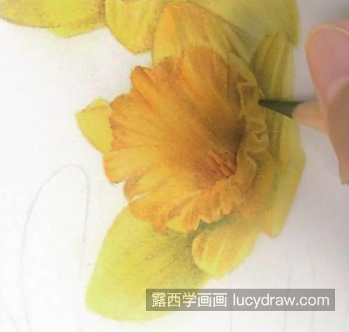 洋水仙怎么画？黄色水仙花的画法是什么？