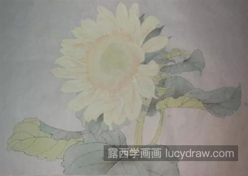 向日葵怎么画？太阳花的工笔步骤有几步？