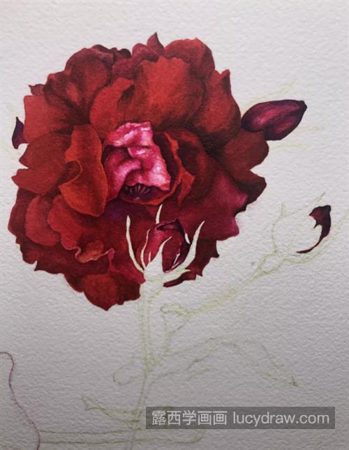烈焰玫瑰怎么画？红玫瑰的绘画重点是什么？