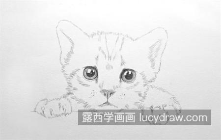 小猫咪怎么画？教你画一只小奶猫