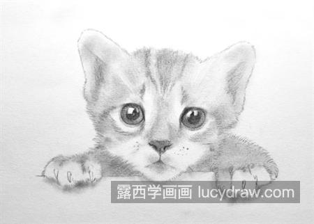 小猫咪怎么画？教你画一只小奶猫