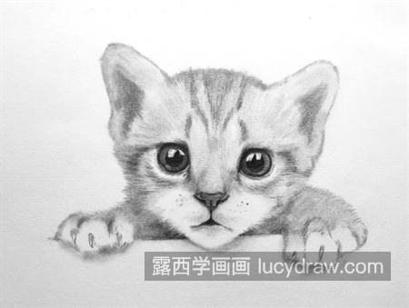 小猫咪怎么画？教你画一只小奶猫