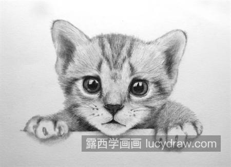 小猫咪怎么画？教你画一只小奶猫