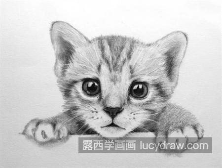 小猫咪怎么画？教你画一只小奶猫