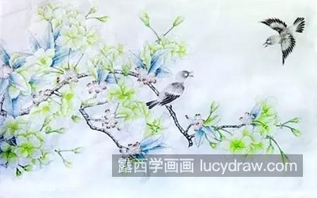 樱花小鸟怎么画？详细的教程介绍是什么？