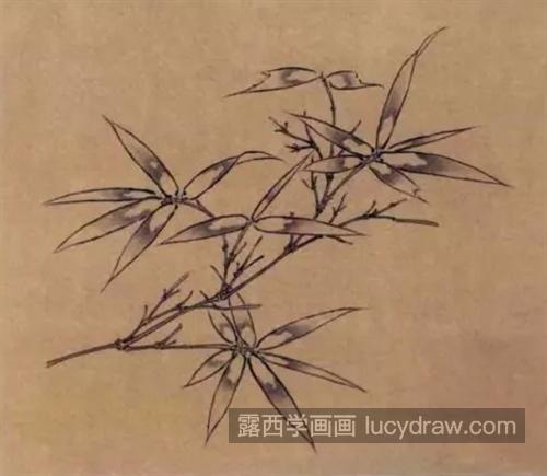 怎么画扇面竹子？不同的竹子要怎么画？