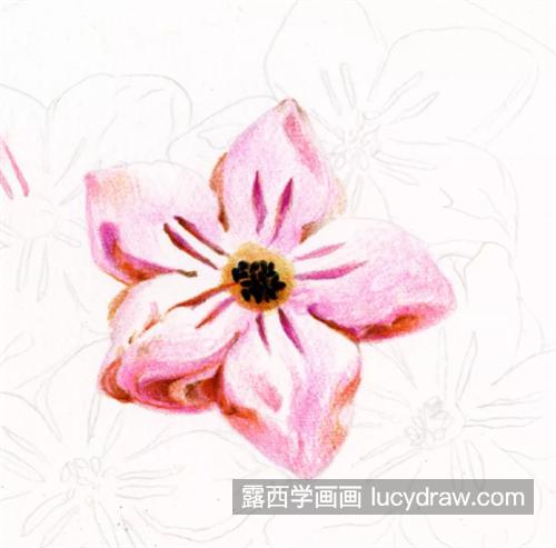 桃花酥怎么画？详细的绘画流程是什么？