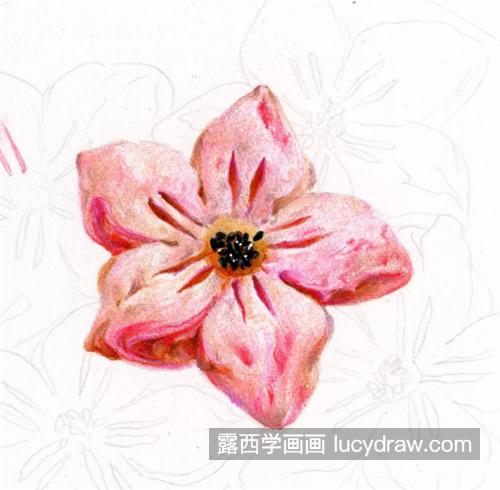 桃花酥怎么画？详细的绘画流程是什么？