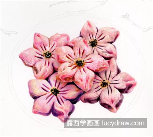 桃花酥怎么画？详细的绘画流程是什么？