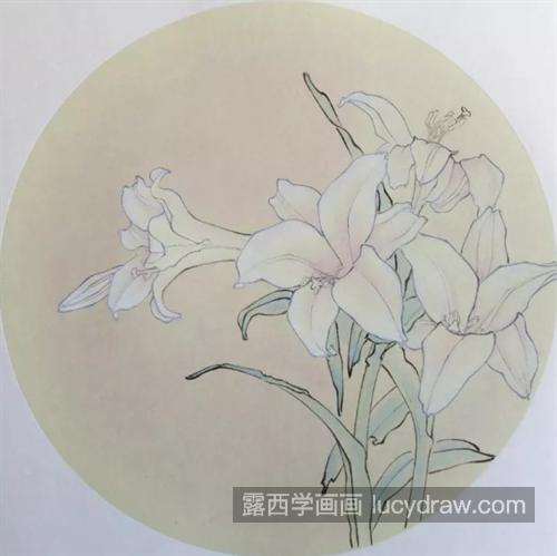 清雅百合怎么画？简单的绘画步骤有几步？