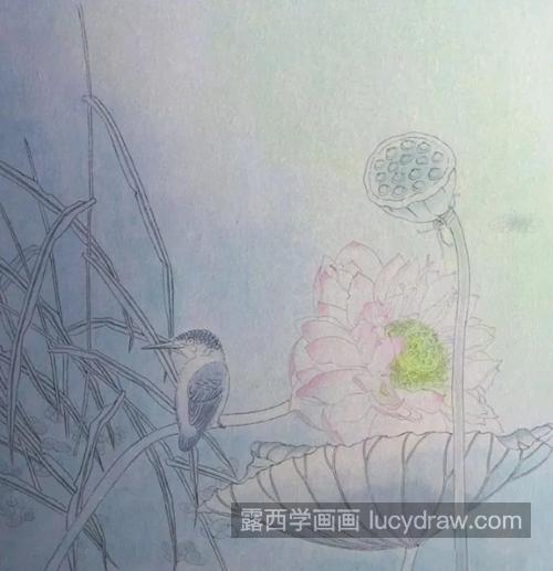 莲蓬翠鸟怎么画？详细的绘画步骤有哪些？