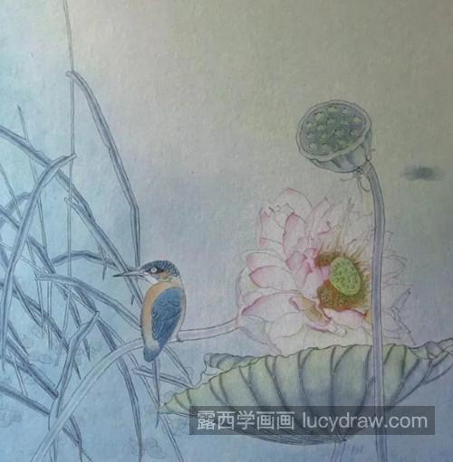 莲蓬翠鸟怎么画？详细的绘画步骤有哪些？