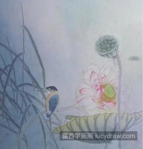 莲蓬翠鸟怎么画？详细的绘画步骤有哪些？