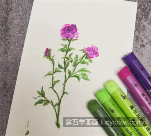 紫色月季花怎么画？绘画流程是什么？