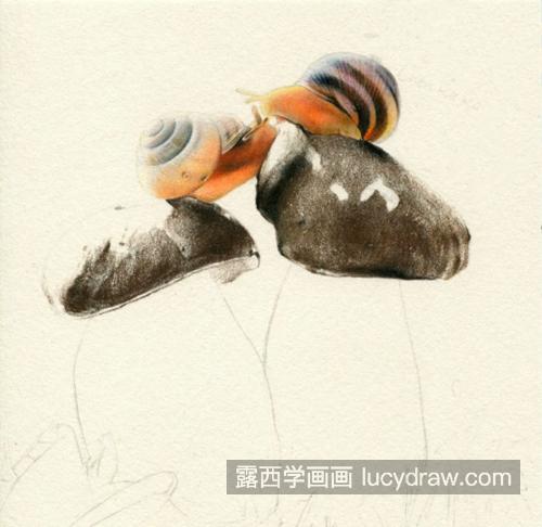 蘑菇和蜗牛怎么画？有哪些详细的绘画步骤？