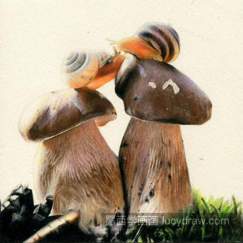 蘑菇和蜗牛怎么画？有哪些详细的绘画步骤？