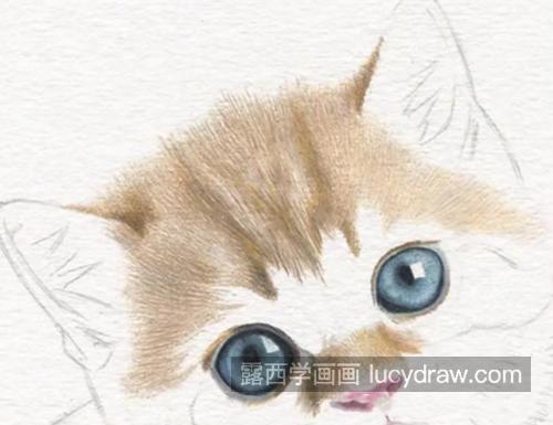 小猫咪怎么画？黄猫的绘画步骤有几步？