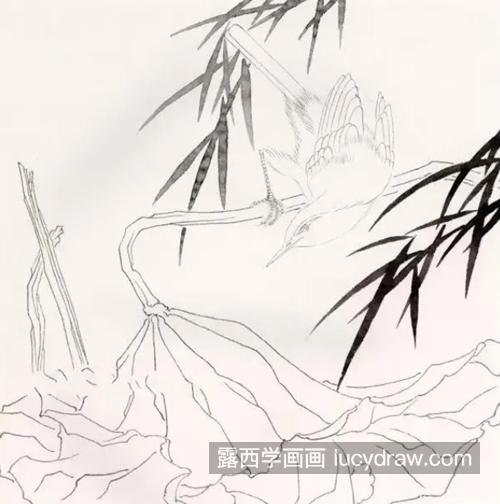 鹡鸰鸟怎么画？张飞鸟的工笔画法是什么？