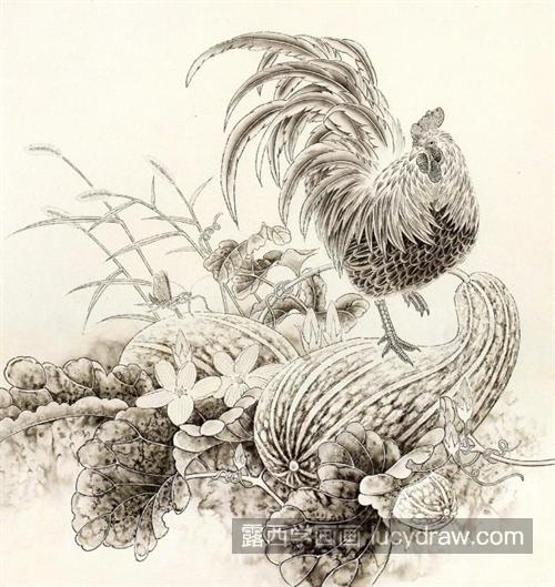 南瓜和公鸡怎么画？简单的工笔画法是什么？