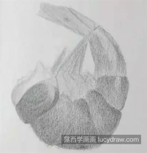 虾肉怎么画？素描步骤有几步？