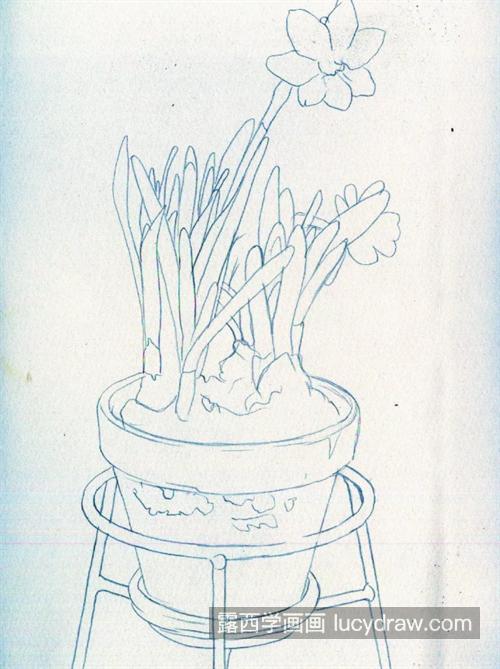水仙盆栽怎么画？详细的彩铅画法是什么？
