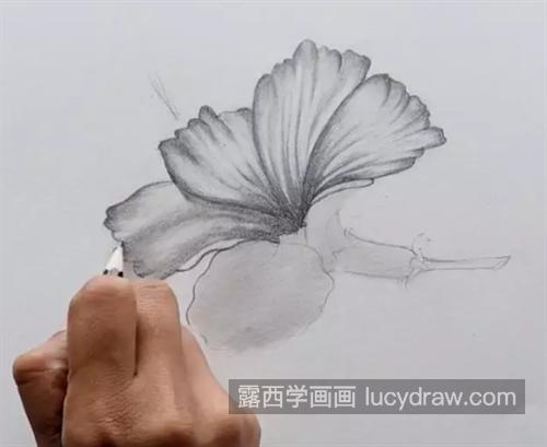 朱瑾花怎么画？绘画要点是什么？