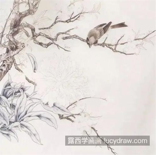 黄色芍药花怎么画？有哪些绘画步骤？