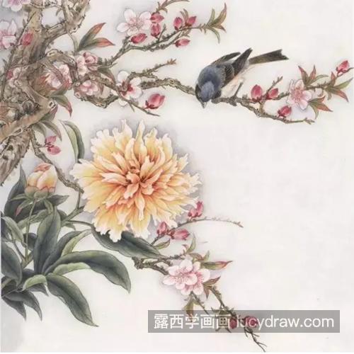 黄色芍药花怎么画？有哪些绘画步骤？