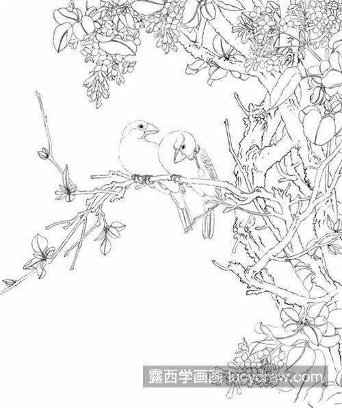 丁香花结构图片