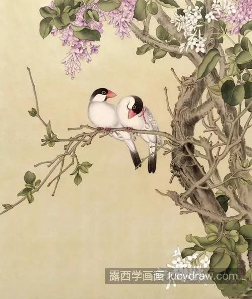 丁香花怎么画？详细的工笔画法是什么？