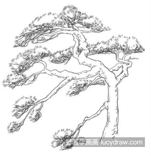 松树和柳树怎么画？常见的树的画法是什么？