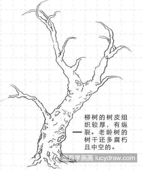 松树和柳树怎么画？常见的树的画法是什么？