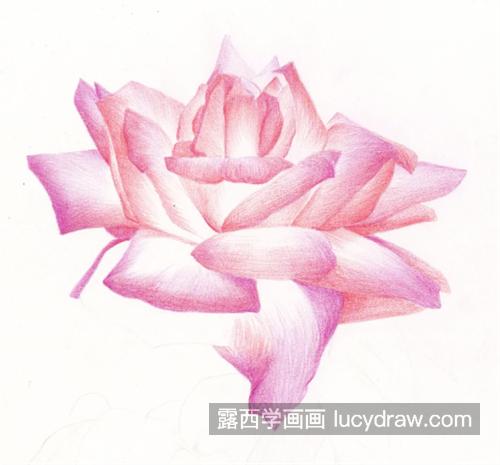 多彩月季花怎么画？有哪些绘画步骤？