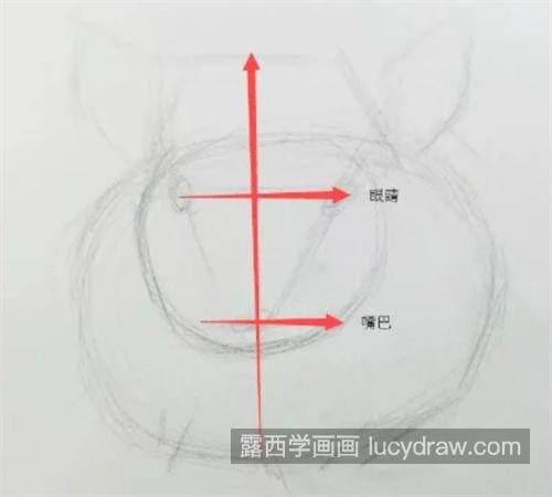 毛丝鼠怎么画？简单的素描画法是什么？