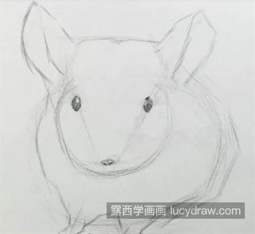 毛丝鼠怎么画？简单的素描画法是什么？