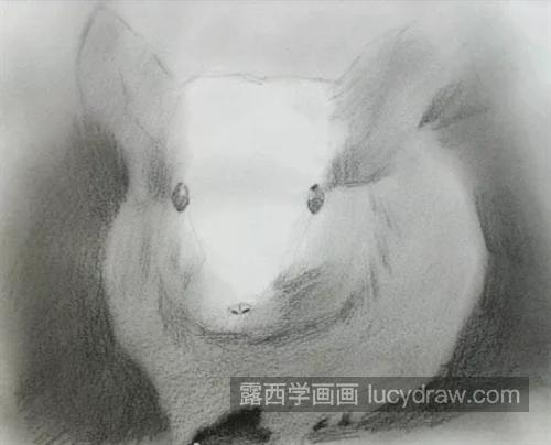 毛丝鼠怎么画？简单的素描画法是什么？