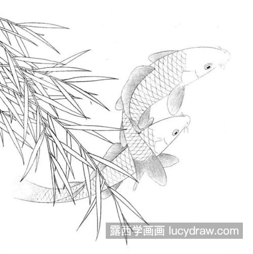 芦苇红鲤鱼怎么画？简单的工笔画法是什么？