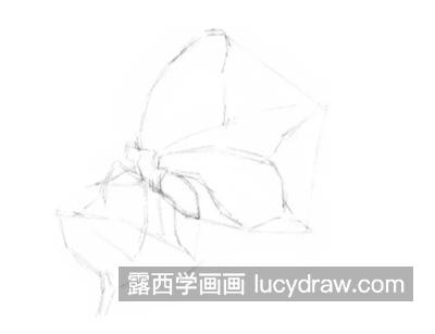 蝴蝶怎么画？简单的素描画法是什么？