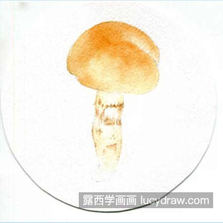 黄环丝膜菌怎么画？有哪些水彩步骤？