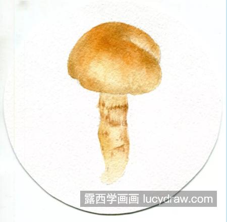 黄环丝膜菌怎么画？有哪些水彩步骤？