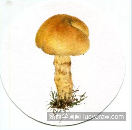 黄环丝膜菌怎么画？有哪些水彩步骤？