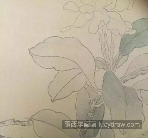 栀子花怎么画？简单的工笔画法是什么？