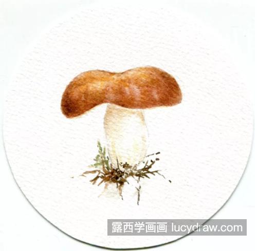 菱红菇怎么画？简单的水彩画法是什么？