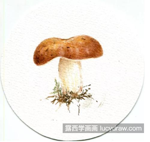 菱红菇怎么画？简单的水彩画法是什么？