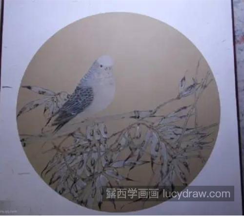 白鹦鹉怎么画？白竹的工笔画法是什么？