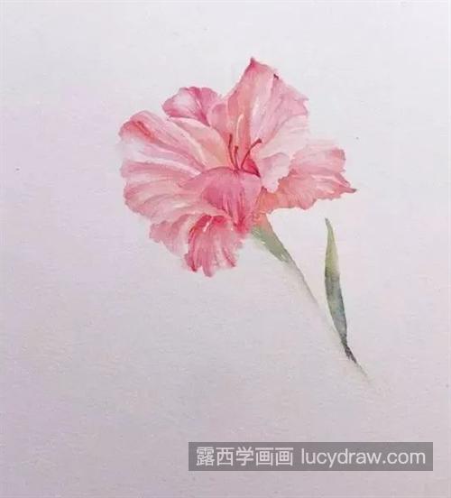 剑兰花怎么画？唐菖蒲的水彩画法是什么？