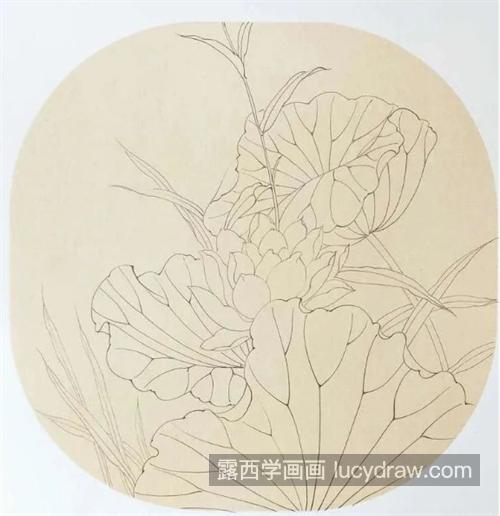 白荷花怎么画？它的工笔绘画流程是什么？