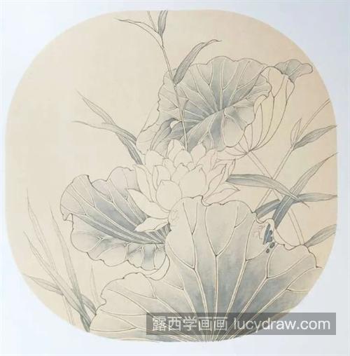 白荷花怎么画？它的工笔绘画流程是什么？