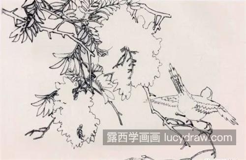 紫藤小鸟怎么画？如何画没骨花鸟？